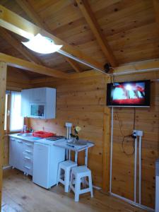 een keuken met een tv in een blokhut bij Slatka Drina in Lazarevići