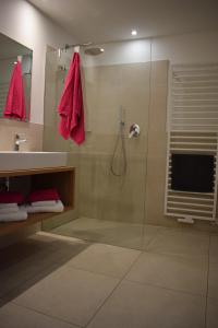 uma casa de banho com um chuveiro e uma porta de vidro em Residence Ladurn em Tirolo