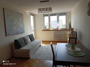 salon z kanapą i stołem w obiekcie Apartament 6 Pietro w Toruniu