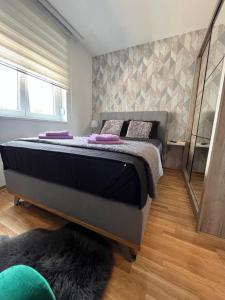 een slaapkamer met een groot bed in een kamer bij Apartman Korać in Vrnjačka Banja