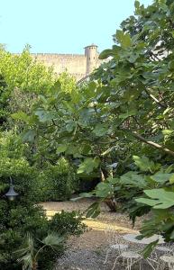 卡爾卡松的住宿－La Villa Carcassonne, Cité 8 min à pieds, Clim, Piscine, Full Wifi, Borne 7,5kW, Vélo élect, Parking privé，一座大绿树,后面有城堡