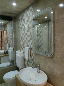 La salle de bains est pourvue d'un lavabo, de toilettes et d'un miroir. dans l'établissement Premium Urban Life, à Zaječar