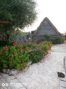 un giardino fiorito di fronte a una casa di Ovile Juanne Loddo a Orosei