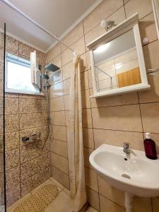 a bathroom with a shower and a sink and a mirror at Big Mama's Apartments in Konjic