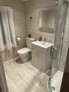 La salle de bains est pourvue de toilettes, d'un lavabo et d'une douche. dans l'établissement Country Cabin Omagh, à Omagh