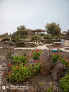 un giardino con fiori e rocce in un cortile di Ovile Juanne Loddo a Orosei