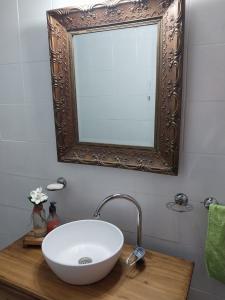 ein Badezimmer mit einem weißen Waschbecken und einem Spiegel in der Unterkunft La Pepita in Ciudad Lujan de Cuyo