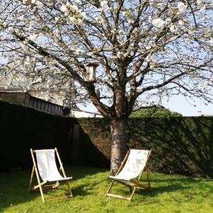 two chairs sitting in the grass next to a tree at Entre en Baie ! in Pontaubault