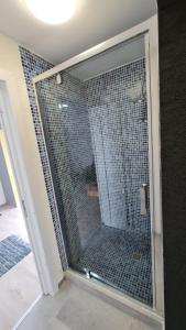 a shower stall with a glass door in a bathroom at Pomiculturii Residence 8 in Timişoara