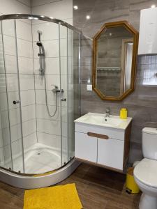 a bathroom with a shower and a sink and a toilet at Cichy Zaułek 5 i 6 in Brodnica
