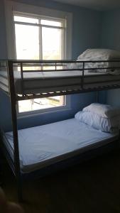 two bunk beds in a room with a window at Queen Elizabeth Hostel in London
