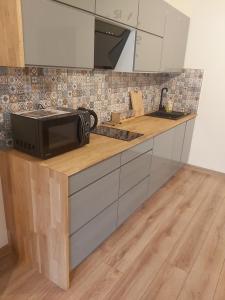 Kuchnia lub aneks kuchenny w obiekcie Dębowy Apartamenty/Pokoje