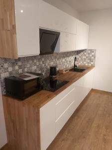 Kuchnia lub aneks kuchenny w obiekcie Dębowy Apartamenty/Pokoje