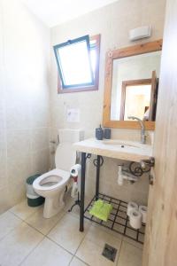 een badkamer met een toilet, een wastafel en een spiegel bij צימר בלוטים באמנון in Amnon