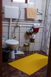 ein Badezimmer mit einem WC und einem gelben Teppich in der Unterkunft Apartment ''Planinsko selo'' in Zaovine