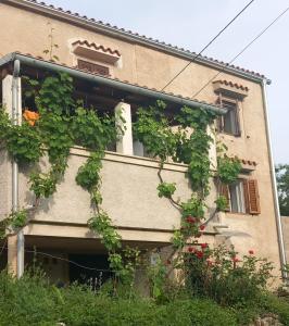 Fotografie z fotogalerie ubytování Holiday Home Loznati v destinaci Cres
