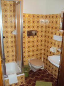ein Bad mit einer Dusche, einem WC und einem Waschbecken in der Unterkunft Hotel-Garni Kaiserhof in Rauris