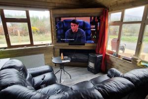 un soggiorno con divano e TV di MT. Leinster View Cabin a Enniscorthy