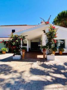 um edifício branco com dois vasos de plantas em frente em Villa América Chalet Independiente con Piscina en Urbanización Roche Conil Cádiz Andalucía España em Roche