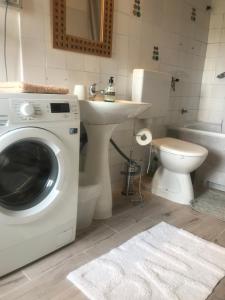 W łazience znajduje się pralka i umywalka. w obiekcie Casa Lucia w mieście Motovun +34 zdjęcia