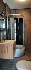 a bathroom with a shower and a sink and a tub at 4 Foxes in Ustka