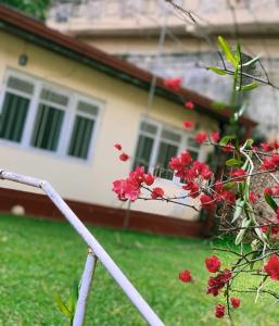 a fence in front of a house with red flowers at Bunkhouse in Kandy