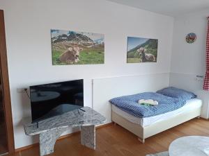 sala de estar con TV, cama y mesa en Kuhstall Appartement en Weiler