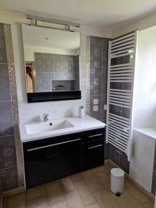 La salle de bains est pourvue d'un lavabo et d'un miroir. dans l'établissement Le P'tit Beine, à Mont-près-Chambord