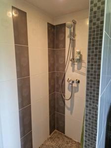 La salle de bains est pourvue d'une douche avec un pommeau de douche. dans l'établissement Le P'tit Beine, à Mont-près-Chambord