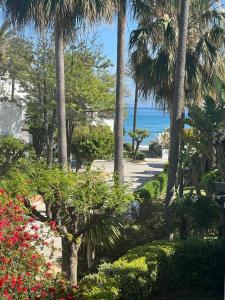 Príroda v okolí apartmánu + 23 fotografií