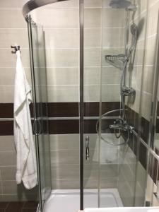 a shower with a glass door in a bathroom at Apartment Jasmina in Krimovice