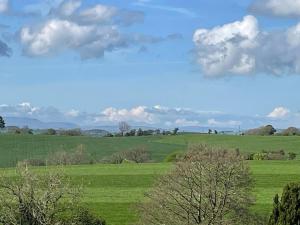 吉斯本的住宿－The Lookout-Ribble Valley. Amazing home Gisburn，绿地,前方有树木