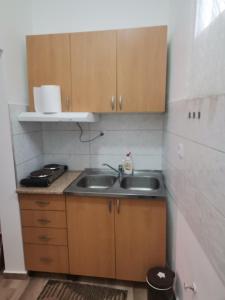 a kitchen with a sink and wooden cabinets at T.I.M. in Bela Crkva
