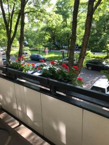 una ventana con flores en una calle de la ciudad en Központi apartman en Kiskunfélegyháza