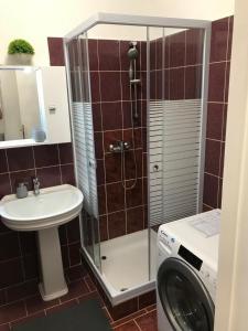 Központi apartman 6100 Kiskunfélegyháza,  Móra Tér 16. 1. em 5. kép - 2