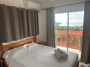 een slaapkamer met een bed en een groot raam bij Cella Villa in Anse a La Mouche