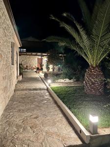 Vonkajšia záhrada v ubytovaní Palma Beach House