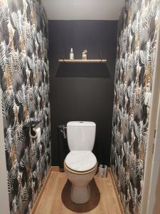 ein Bad mit einem WC und einer schwarzen Wand in der Unterkunft Jolie Maison au 34 centre-ville in Angoulême + 12 Fotos