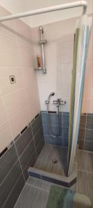 W łazience znajduje się prysznic z zasłoną prysznicową. w obiekcie Buena Vista w mieście Aegenitissa