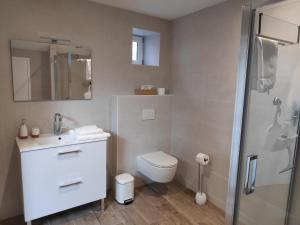 a bathroom with a toilet and a sink and a shower at LAne Têtu in Désaignes