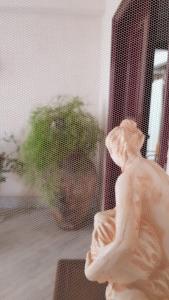Fotografie z fotogalerie ubytování Ursae Domus v destinaci Graniti
