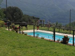 Bazén v ubytování Agriturismo il Tiglio nebo v jeho okolí