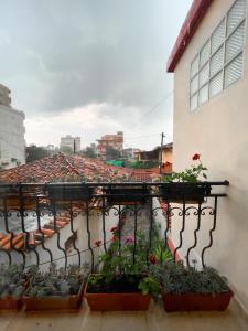 een balkon met potplanten op een gebouw bij Vila Kodra in Tirana