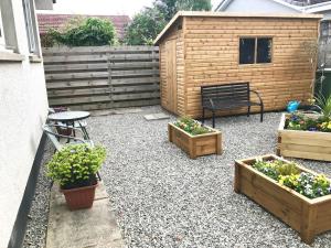 a garden with three potted plants and a shed at 'Edgewood' - detached bungalow in Inverness