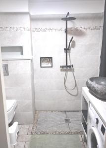 La salle de bains est pourvue d'une douche, de toilettes et d'un lavabo. dans l'établissement C l e a n & N e w - cosy flat marina PAP Gosier, à Pointe-à-Pitre