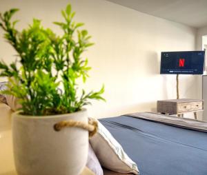 roślina w białym garnku siedząca obok łóżka w obiekcie C l e a n & N e w - cosy flat marina PAP Gosier w mieście Pointe-à-Pitre