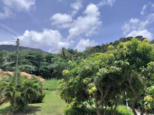 a garden with trees and a mountain in the background at Chez Moi in Castries