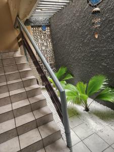 una escalera con barandilla metálica y algunas plantas en Pousada Jasmine en João Pessoa