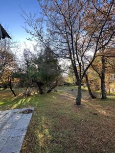 a park with trees and a walkway in the grass at Cabañas El Aljibe - Meliquina in Villa Meliquina
