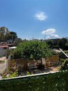 Fotografie z fotogalerie ubytování Tiny house v destinaci Palermo